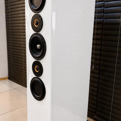 Avt Speaker Build 2